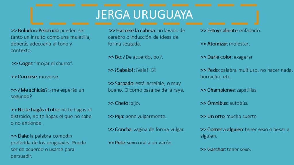 Guía de Montevideo qué ver y hacer en la capital de Uruguay